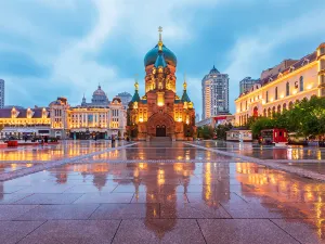 Sophia Square