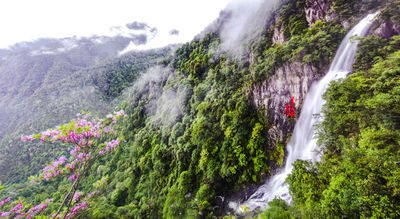 Sanbai Mountain Scenic Area