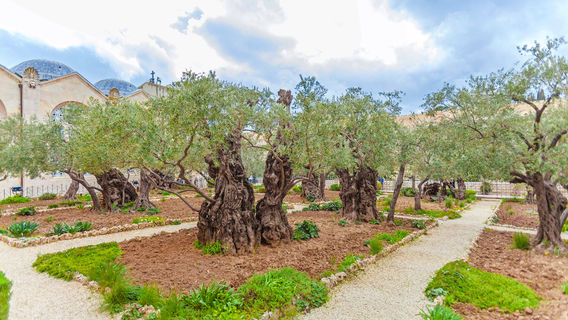 Gethsemane