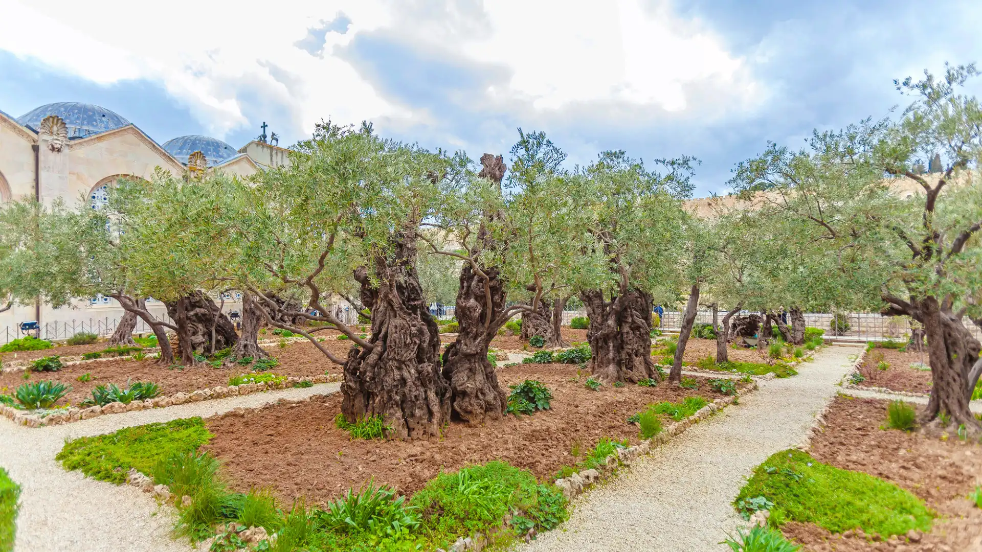 Hotels near Gethsemane