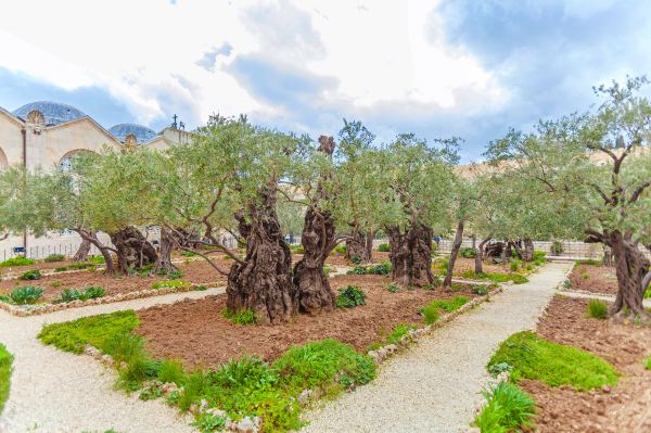 Gethsemane