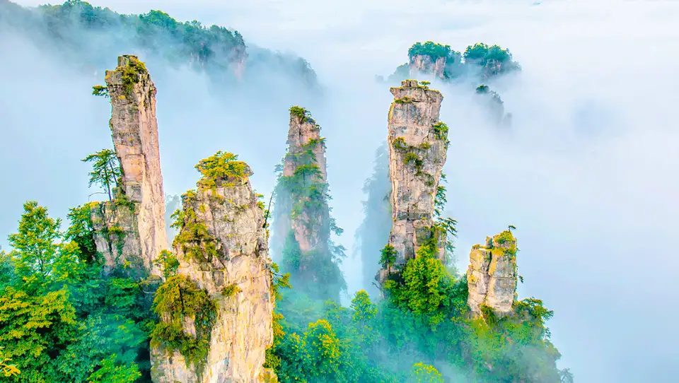 1_Zhangjiajie National Forest Park