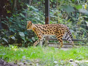 Krefeld Zoo