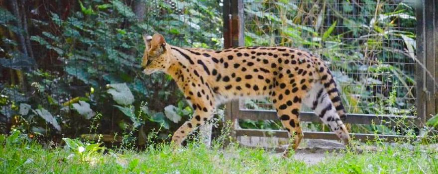 Krefeld Zoo