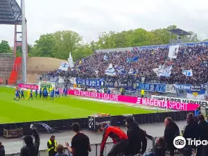 Wildparkstadion