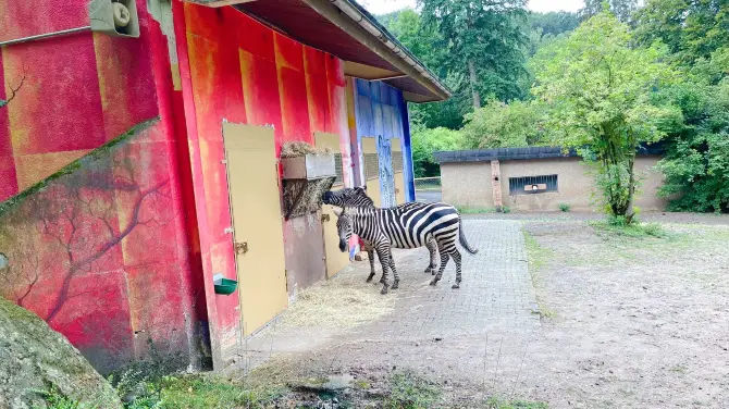 3_Neunkircher Zoologischer Garten