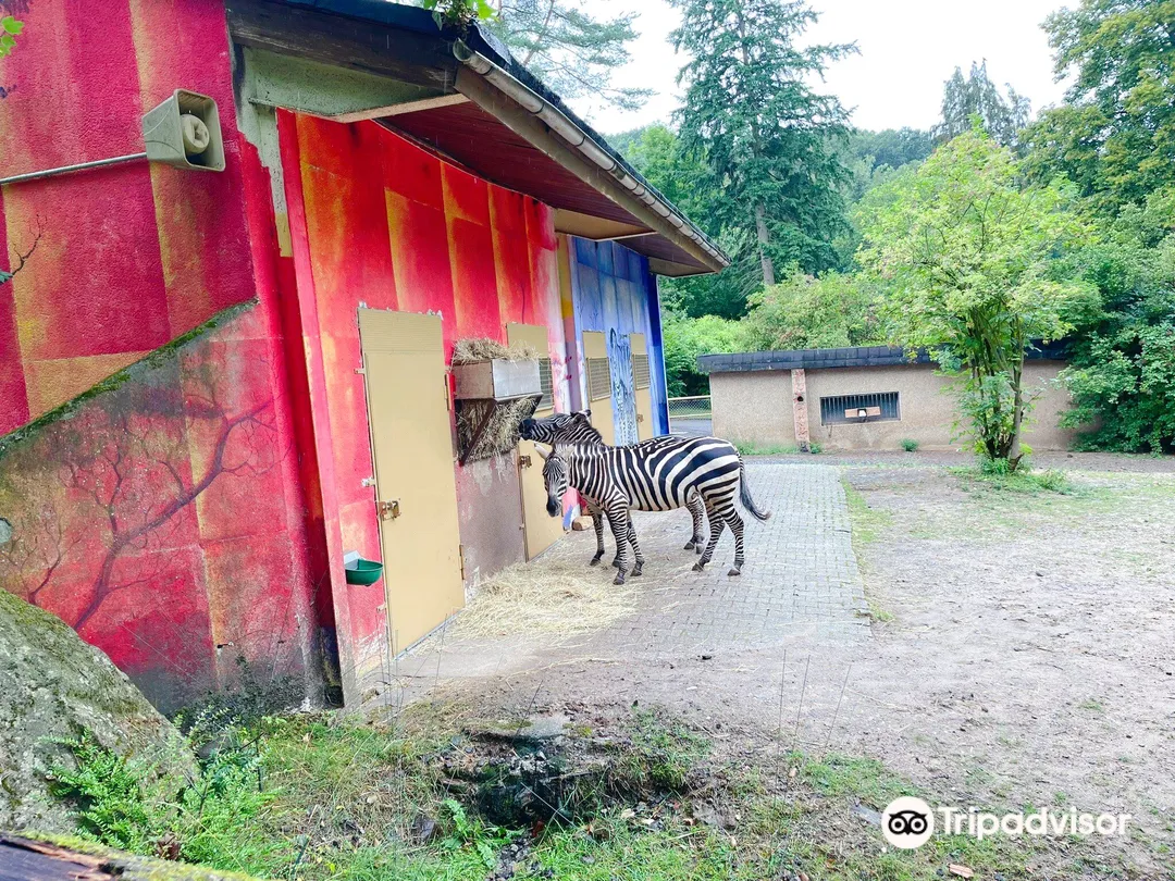 3_Neunkircher Zoologischer Garten