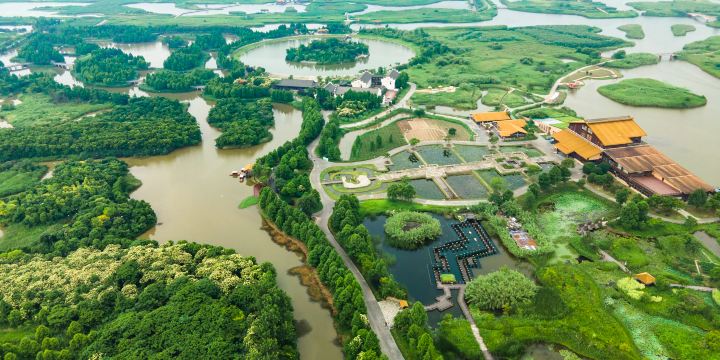 Hangzhou Bay National Wetland Park