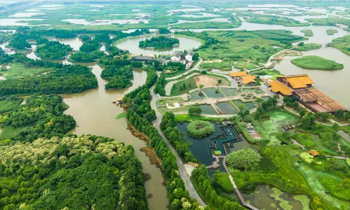 杭州灣國家濕地公園