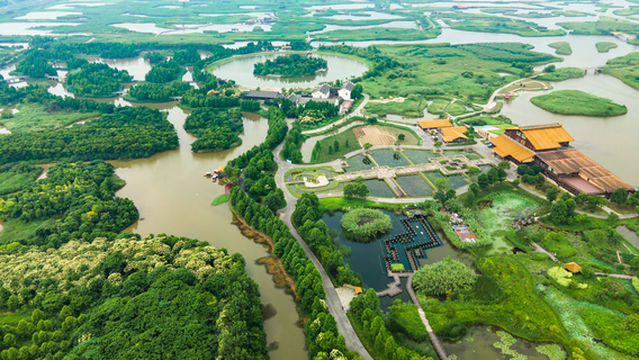 Hangzhou Bay National Wetland Park