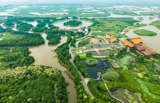 杭州灣國家濕地公園門票(包括觀光車+船票)成人