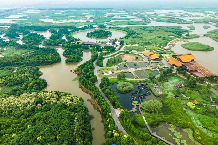杭州灣國家濕地公園