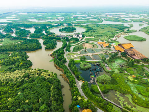 杭州灣國家濕地公園