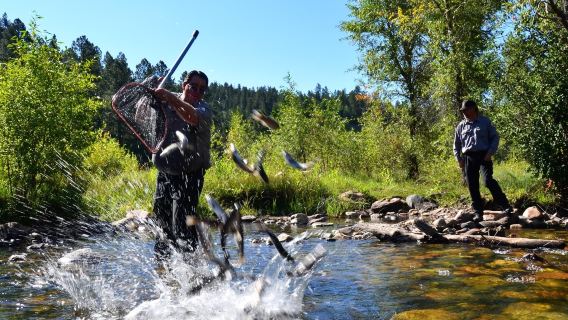 Upper and Lower Lakes, Grass River Fishing Access