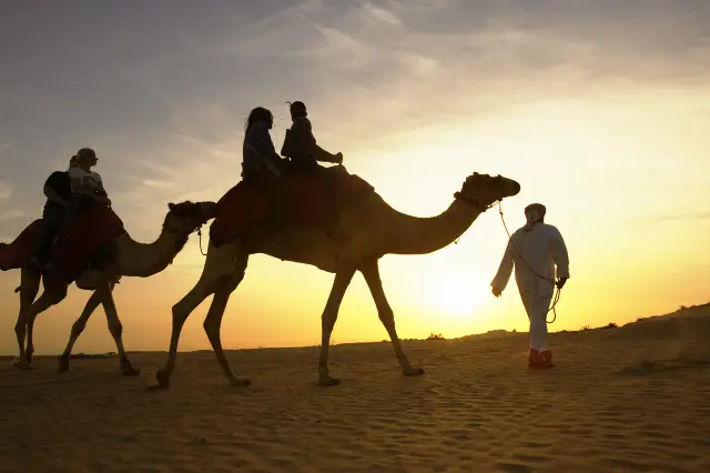 Camel Riding in Dubai