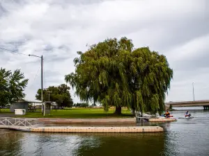Lex Kunau Park