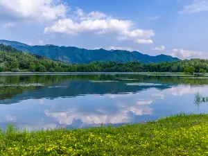 巨集村的熱門玩水避暑