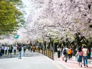 서울 봄꽃 명소 베스트 16