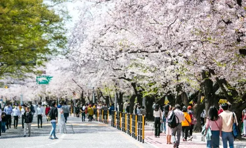 Yeouido Park