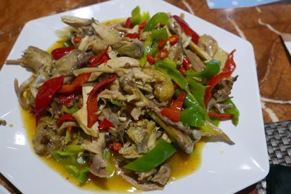 Knight's Grand View Garden