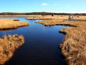 Seven Star Lake Desert Ecological Tourism Area