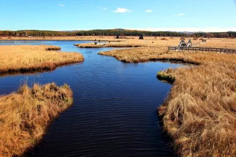 Seven Star Lake Desert Ecological Tourism Area