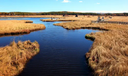Seven Star Lake Desert Ecological Tourism Area