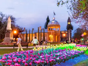 Bendigo Bloom