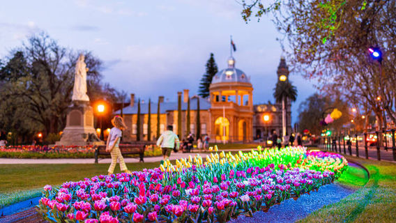 Bendigo Bloom