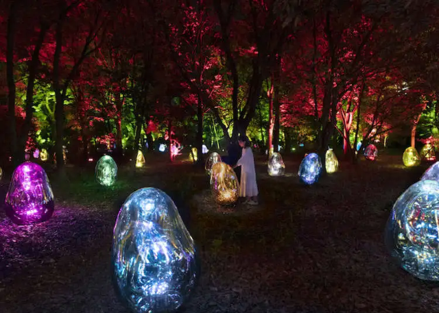 Nagai Botanical Garden TeamLab | Osaka