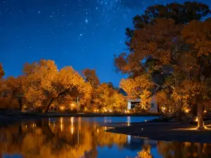 Populus Euphratica Forest Scenic Area