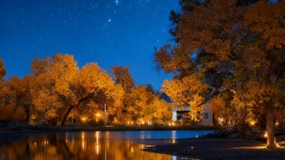 Populus Euphratica Forest Scenic Area
