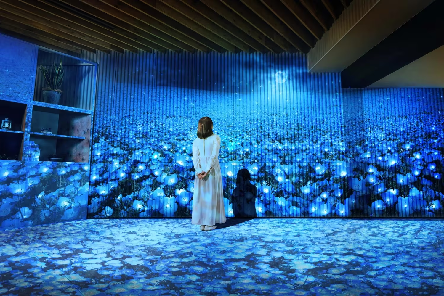 BEB5 Tsuchiura Hotel "Nemophila in Full Bloom" Event | Tsuchiura