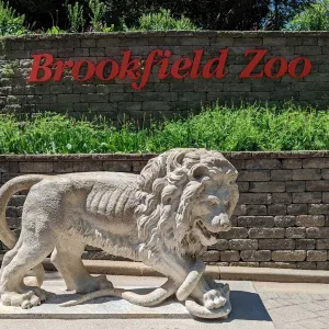 Brookfield Zoo Chicago