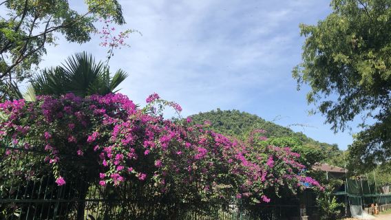 Kep National Park