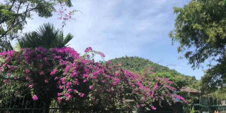 白馬市國家公園