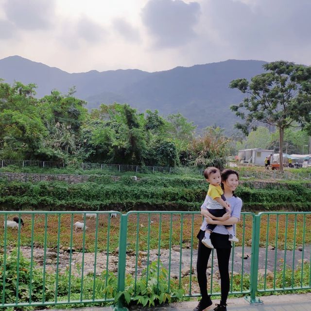 非一般農莊體驗