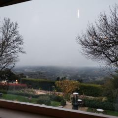 Hardy's Verandah Restaurant Adelaide Hills User Photo