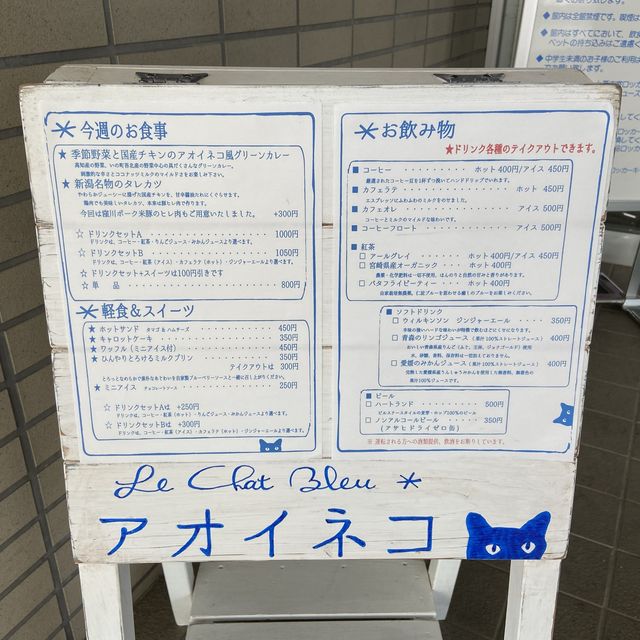 【高知】アオイネコ