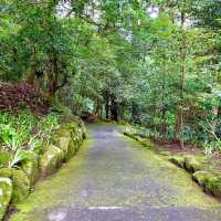 箱根神社の脇参道