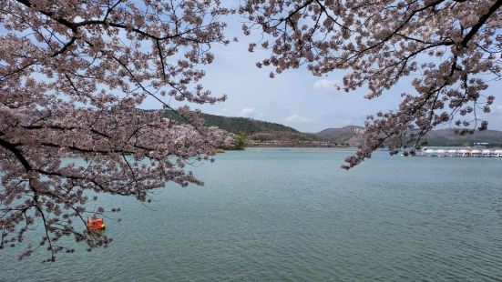 A big lake in Gyeongju, lined 