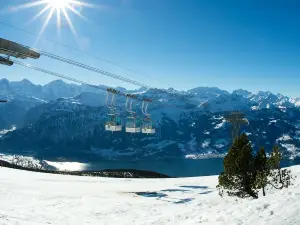 Niederhornbahn AG Beatenbucht - Beatenberg - Niederhorn