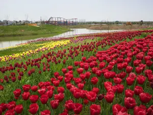 Mianzhou Baiwanhuahai Sceneic Area