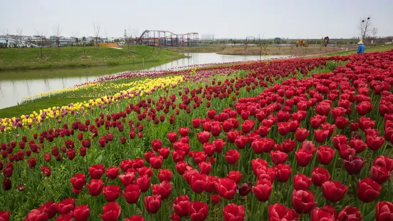 Mianzhou Baiwanhuahai Sceneic Area