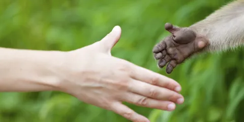 臨猗野生動物園