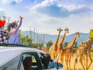 Popular Family-Friendly Attractions in Changxing