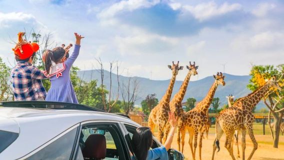 Longemont Animal World