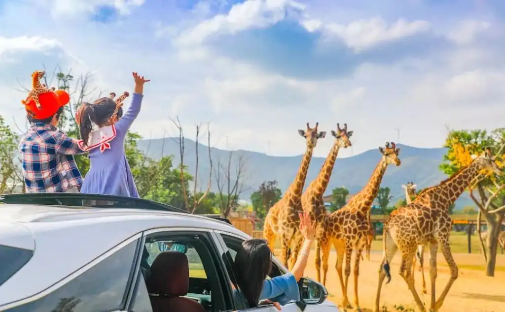 Hotels near Long Emont Animal World