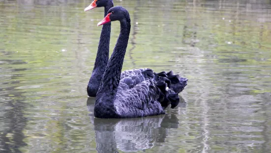 懷寧縣體育公園