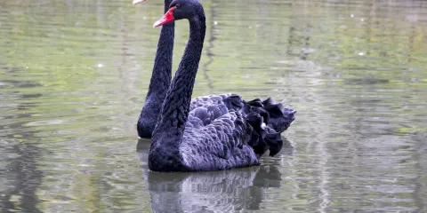 懷寧縣體育公園